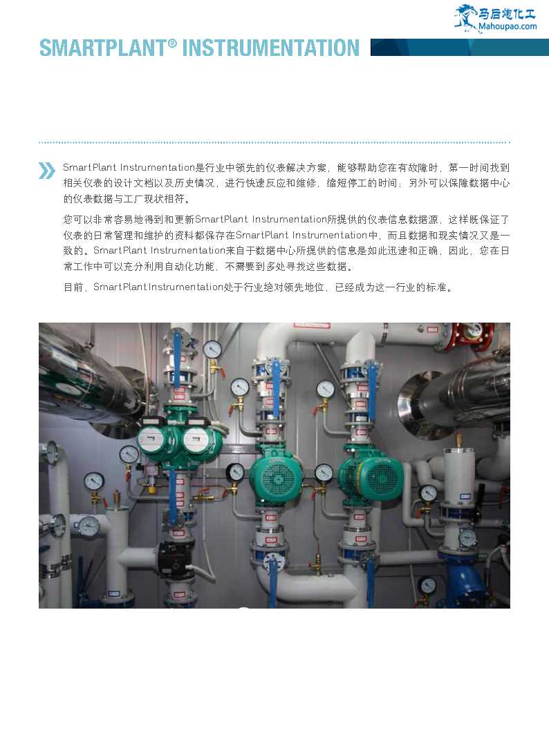 Smartplant Instrumentation-˹PPM_Page2.png