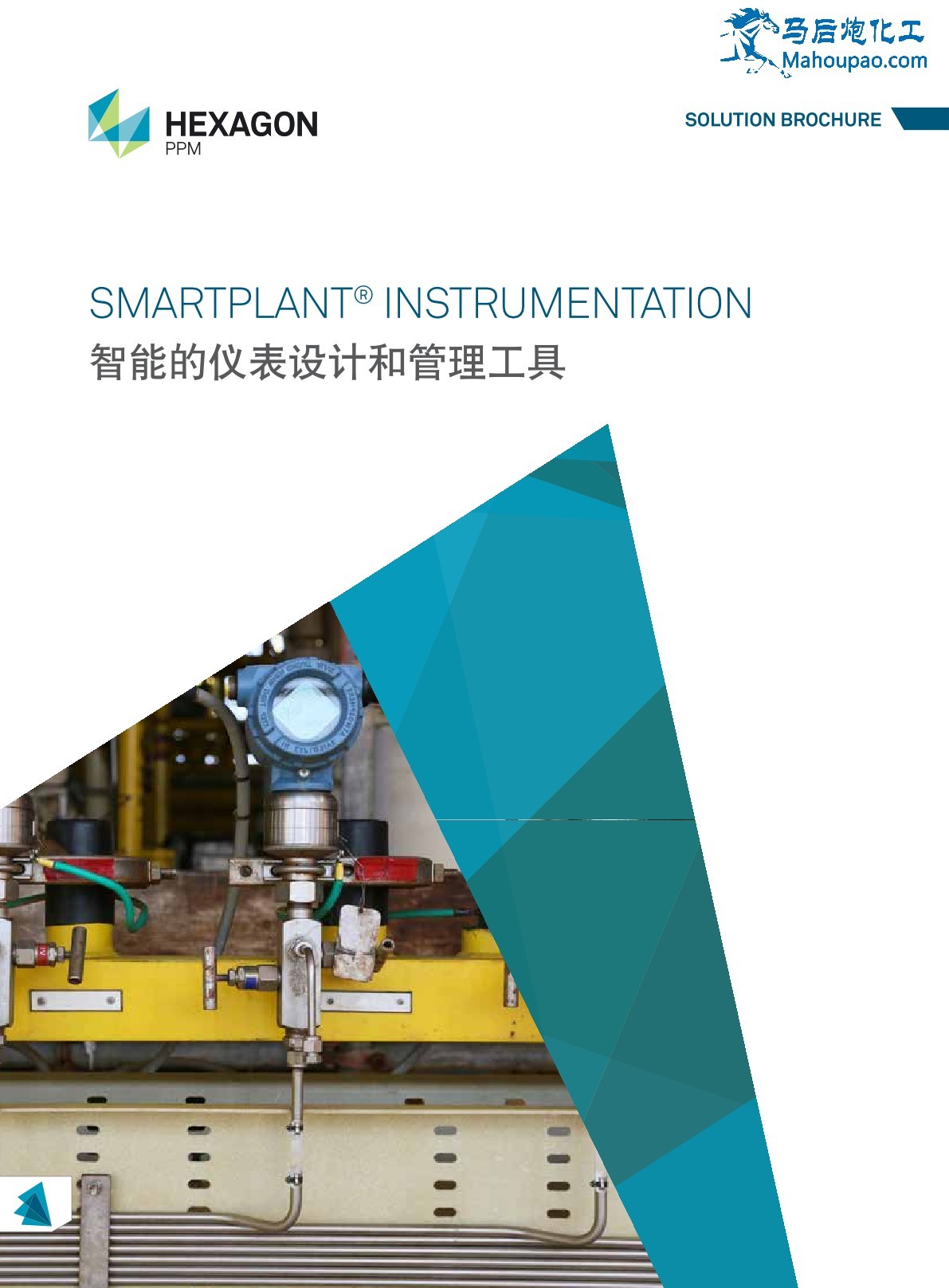 Smartplant Instrumentation-˹PPM_1.jpg