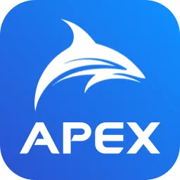 『中控APEX流程模拟交流』